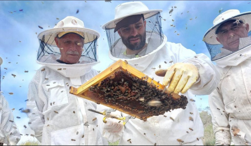 Com o apoio do Município de Castelo Branco e da Escola Superior Agrária de Castelo Branco, a Meltagus, Associação de Apicultores do Parque Natural do Tejo Internacional está a preparar a segunda convenção apícola, que vai decorrer no Auditório Vergílio Pinto de Andrade da referida Escola Agrária.

Será um dia dedicado à partilha de conhecimentos e à exploração dos temas mais relevantes sobre a apicultura, com a presença de um painel de oradores de excelência.

PROGRAMA

09:00 Receção e credenciação

10:00 Sessão de boas-vindas

10:30 Produção e Extração de Própolis

Sandra Barbosa – Gerente Mel Montesino

12:00 Almoço

14:00 Ácido Oxálico e as suas Formas de Uso - António Nanneti, Investigador no Centro de Pesquisa Agrícola e Ambiental (CREA-AA)

15:30 Coffee break

16:00 Mel DOP - Ana Paula Sançana, Técnica LOUSÃMEL

18:00 Sessão de encerramento

Membro da Federação Nacional dos Apicultores de Portugal, a Meltagus constituiu-se em 2004, tendo como área de intervenção as freguesias dos concelhos de Castelo Branco, Idanha-a-Nova e Vila Velha de Ródão, e com o propósito central de defesa dos interesses dos seus apicultores, desenvolvendo e dinamizando a atividade apícola através da gestão da zona de produção. É ainda parceira no Projecto BeeLand – Apicultura e Polinização: Impacto na Biodiversidade e Sustentabilidade dos Territórios, uma iniciativa que caracteriza e avalia o valor do serviço ecossistémico proporcionado pelas abelhas e pela apicultura na sustentabilidade e resiliência dos territórios.

INSCRIÇÕES EM:https://meltagus.pt/2-convencao-apicola/


	


Fonte: Meltagus