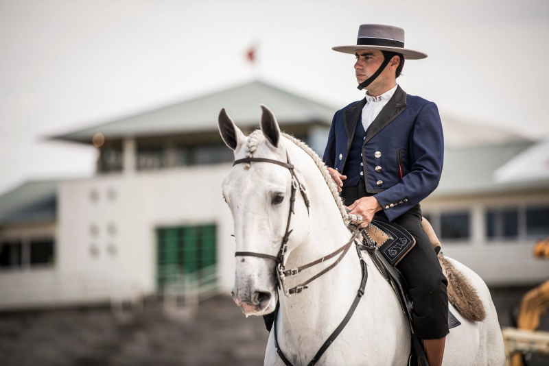 O Cavalo na FNA 2018