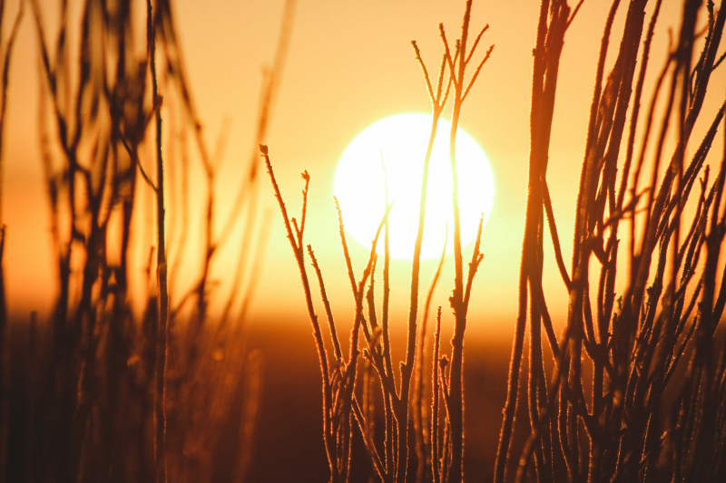 Os valores da temperatura máxima estarão muito acima dos valores normais para a época, próximos de 40°C, com exceção da costa sul do Algarve, onde serão entre 30 e 35°C. No interior do Alentejo, Vale do Douro e do Tejo e Beira Baixa, a temperatura máxima deverá atingir valores da ordem dos 45°C, podendo ser alcançados máximos absolutos em vários locais.

Os valores da temperatura mínima têm igualmente tendência para uma subida gradual, atingindo no final da semana valores próximos de 25°C em grande parte do território, aproximando-se dos 30°C em alguns locais do interior Centro e Sul, em especial no Alto Alentejo.

&nbsp;Prevê-se que poeiras em suspensão provenientes do norte de África afetem a região Sul a partir de dia 1 de agosto, traduzindo-se num tom amarelado do céu.