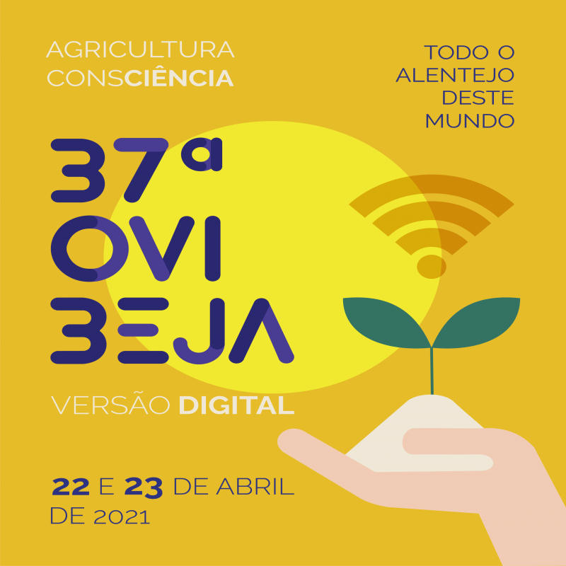 Através de comunicado, a ACOS anunciou o cancelamento da Ovibeja de 2021.&nbsp;

"Embora sabendo da importância que este certame representa para a agricultura e para todas as actividades económicas e sociais da região, e até mesmo do país, a Comissão Organizadora viu-se obrigada a reconhecer que não estão reunidas as condições para realizar a 37ª Ovibeja nos moldes tradicionais que caracterizam este evento desde a sua génese.

Como alternativa, foi decidido assinalar a data com a realização de uma Ovibeja num formato moderno, com recurso a tecnologias de informação e comunicação e com diversas actividades agendadas para os dias 22 e 23 de Abril de 2021.

O programa da feira, que está em construção, não terá expositores nem espectáculos, mas já é possível adiantar que vão ser realizadas actividades em formato misto, online e presencial, sempre no respeito pelas normas de higiene e segurança definidas pela autoridade sanitária nacional.

Aos mais jovens ligados à agricultura vão ser propostos desafios, via net e presenciais, que apelem às suas competências técnicas (práticas e teóricas), atitudes colaborativas, gestão de risco, capacidade de organização, de liderança e de partilha.

Com o objectivo de suscitar a discussão e o debate, junto de agricultores e produtores pecuários, estudantes, investigadores, políticos, a 37ª Ovibeja vai organizar conferências web sobre agricultura, pecuária, alterações climáticas e biodiversidade, olival e regadio, a nova PAC, entre outras áreas de relevância para o sector."

A Comissão Organizadora confirma que a 37ª Ovibeja mantém a realização do 10º Concurso Internacional de Azeites Virgem Extra – Prémio CA Ovibeja, que se encontra a receber amostras de azeite até dia 19 de Março. Entre os objectivos do concurso - um dos melhores cotados a nível mundial - e da Ovibeja, contam-se a aposta na qualidade, no potencial de mercado e na capacidade de inovar com sustentabilidade.

Contacto da Comissão Organizadora: 932 202 526

Fonte: Comunicado da ACOS - Associação de Agricultores do Sul