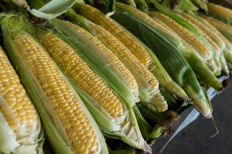 O Instituto Superior de Agronomia está a desenvolver um estudo sobre a relação dos fatores de produção e a produtividade da cultura, por forma a desenvolver um modelo conceptual para avaliar os efeitos do uso dos fatores e a eficiência da sua utilização.

O objetivo deste estudo é utilizar modelos de benchmarking para avaliar a sustentabilidade na agricultura, analisando várias variáveis e a eficiência resultante, medindo-a por comparação.

Pretende-se que este estudo seja tão exaustivo quanto possível, pelo que se pede a sua contribuição, pedindo-se que o preenchimento deste questionário (
	https://forms.gle/tVkgSADvS1nWwtc69) seja feita ao nível de cada sistema de rega, replicando-o tantas quantas vezes o número de sistemas de rega da sua exploração e o número de campanhas em que tenha sido cultivado.

A uso dos dados solicitados é exclusivamente para fins académicos e científicos, sendo mantido o anonimato da sua fonte.

O resultado deste estudo será posteriormente disponibilizado a todos os participantes.

Para qualquer esclarecimento, entre em contacto com Gonçalo Rodrigues (gcrodrigues@isa.ulisboa.pt)

Fonte: ANPROMIS