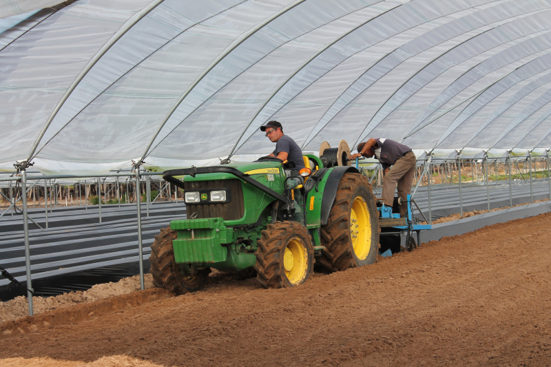 Pordata divulga números da Agricultura e Pescas