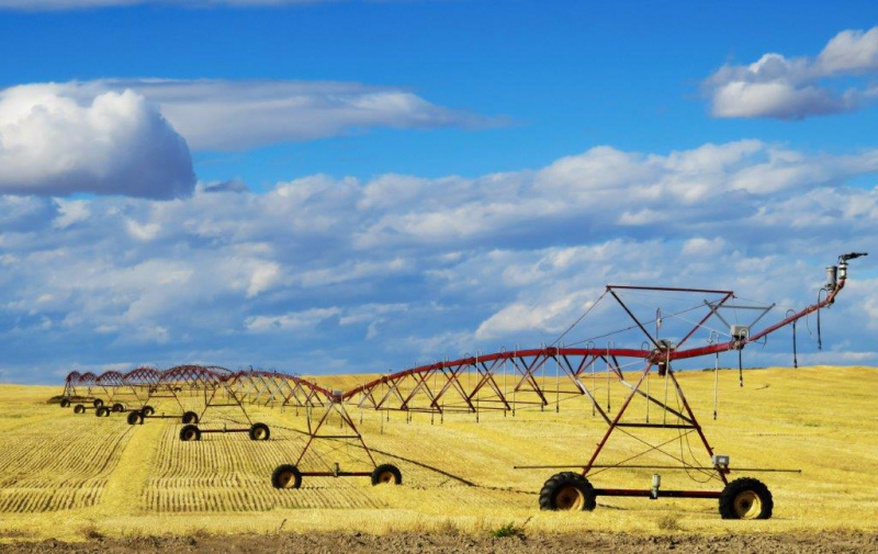 PDR 2020 OPERAÇÃO 3.2.1 INVESTIMENTO NA EXPLORAÇÃO AGRÍCOLA&nbsp;

SETOR: CEREALICULTURA, incluindo Arroz (16.º ANÚNCIO)&nbsp;


	Período de candidaturas: entre 16/04/2019 (17:00) e 07/05/2019 (17:00)
	Área geográfica: todo o território do Continente
	Dotação orçamental: 3 milhões de euros
	Objetivo: apoiar o setor da cerealicultura, incluindo o arroz.


SETOR: VITICULTURA (15º anúncio)


	Período de candidaturas: entre 16/04/2019 (17:00) e 07/05/2019 (17:00)
	Área geográfica: todo o território do Continente
	Dotação orçamental: 3 milhões de euros
	Objetivo: apoiar a instalação de novas plantações de vinhas, devidamente autorizadas.



	


Chama-se a atenção para o facto de este anúncio estar incluído num conjunto de anúncios pré-designados como Setorial 1 (períodos de candidatura por setor de atividade).&nbsp;

A atribuição do setor de investimento é efetuada com base na informação declarativa da candidatura referente aos setores, sendo atribuído o setor com maior percentagem de investimento.

Em caso de empate é atribuído à candidatura o setor em que se verifiquem maiores proveitos para o ano cruzeiro.

Para mais informações devem consultar o seguinte link:
	
	
	http://www.pdr-2020.pt/site/O-PDR2020/Arquitetura/Area-2-Competitividade-e-Organizacao-da-Producao/Medida-3-Valorizacao-da-Producao-Agricola/Acao-3.2-Investimento-na-Exploracao-Agricola/Operacao-3.2.1-Investimento-na-Exploracao-Agricola
	
	
	
