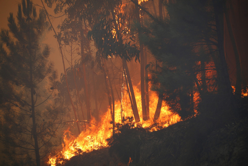 CEASEFIRE inovação na prevenção de incêndios