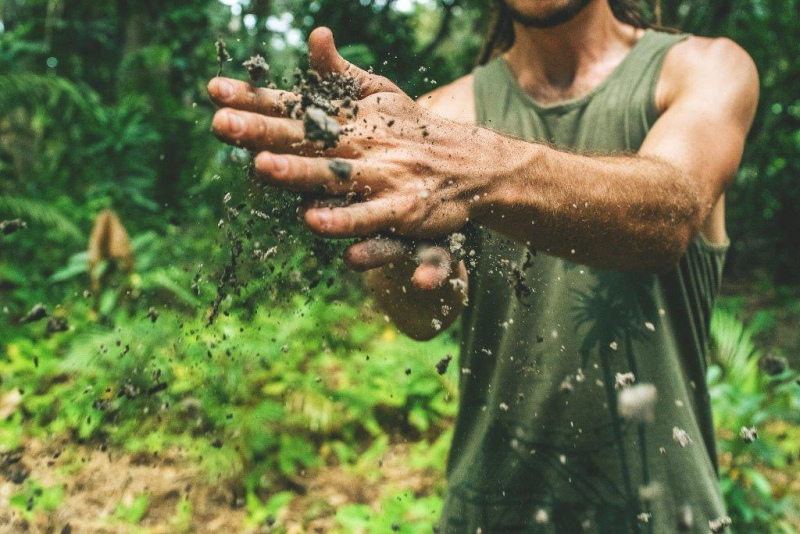 PDR2020 altera «Investimento de jovens agricultores na exploração agrícola»