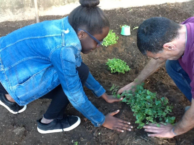 CAP e 230 Estabelecimentos de Ensino celebram hoje Dia Nacional da Agricultura na Escola