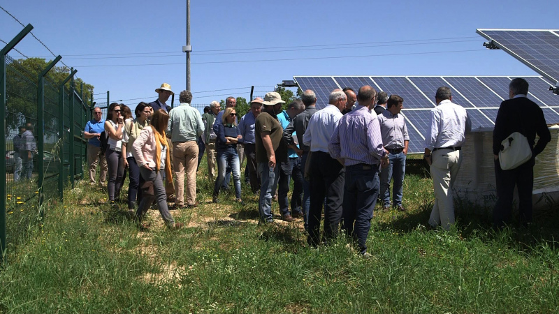 O exemplo está a ser dado pela Associação de Beneficiários da Obra de Rega de Odivelas-ABORO, que promoveu em 16 de maio, uma sessão técnica sobre “Sustentabilidade e gestão eficiente da água e da energia em regadio”.

A ABORO investiu 540.000 € em duas centrais fotovoltaicas para produção de energia solar usada nas estações de bombagem dos reservatórios do Marmelo e do Monte Branco, no concelho de Ferreira do Alentejo.

Estas centrais, que entraram em funcionamento em abril de 2018, vão permitir poupanças de 15% a 20% (70.000 €/ano) na fatura energética da ABORO.

A modernização do regadio público, com a introdução de sistemas de distribuição da água por pressão em substituição do tradicional método por gravidade, trouxe consideráveis ganhos de eficiência no uso da água em Portugal.

Atualmente, cada agricultor gasta em média 5.500 m3 água/hectare, quando na década de 60 eram necessários 15.000 m3/hectare.

No entanto, esta poupança teve como consequência o aumento do consumo de energia associada ao regadio, que subiu de 200 kwh/hora para 1.500 kwh/hora, no mesmo período.

“Hoje em dia, o nosso maior desafio é reduzir a fatura energética associada à bombagem da água” explica José Núncio, presidente da FENAREG

“É importante que sejam criadas, no âmbito do PDR2020 e na nova PAC, medidas específicas de apoio à instalação de energias alternativas nas estações de bombagem dos aproveitamentos hidroagrícolas, mesmo naqueles que foram alvo de modernização recente, mas que não contemplaram investimentos em melhoria da eficiência energética», concluiu.