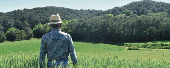 As candidaturas estão abertas a todos os produtores nacionais, em nome individual ou coletivo, cujos projetos sejam implementados em Portugal e se encontrem legalizados.

São quatro as categorias possíveis para concorrer ao Prémio Intermarché dedicado à produção nacional:


	Produção Primária - premeia todos os produtos resultantes do processo de produção primária.
	Produtos Transformados - premeia todos os produtos resultantes de um primeiro processo de transformação.
	Inovação em Embalagem - premeia produtos que se destaquem pela inovação e que traduzam essa inovação principalmente ao nível da sustentabilidade da embalagem.
	Ideias com Potencial - premeia projectos que, embora inovadores, possam ainda não ter escala suficiente para comercialização.


O Prémio assegurado pelo Intermarché aos melhores projetos, em cada uma das categorias, consiste no seguinte:


	O escoamento dos produtos durante um ano;
	Parte da margem será repartida entre o Produtor e o Intermarché;
	Visibilidade dos produtos vencedores em diversos meios.


Mais informação sobre categorias, regulamento do concurso e formalização das candidaturas em :


	https://www.premiointermarche.pt/2019/


	
