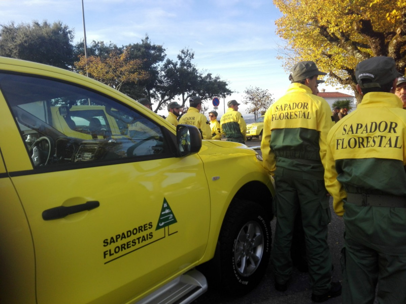 O apoio financeiro para funcionamento das equipas de sapadores florestais -2019 a 2021, insere-se no eixo de intervenção “Defesa da floresta contra incêndios e agentes bióticos”, previsto na subalínea i), da alínea b) do n.º 1 do artigo 6.º do Regulamento do Fundo Florestal Permanente, aprovado pela Portaria n.º 77/2015, de 16 de Março, na sua redação atual.

Data de início: 01/02/2019&nbsp;

Data de encerramento: 14/02/2019

Documentos:
	Anúncio de abertura de procedimento concursal&nbsp;