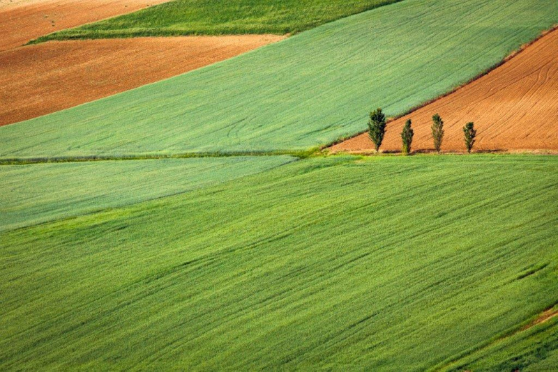 PRÉMIO EUROPEU PARA A PRESERVAÇÃO DO SOLO